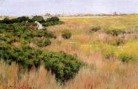 Chase, William Merritt - Landscape near Coney Island